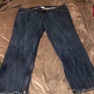 Department of peace plus size 24